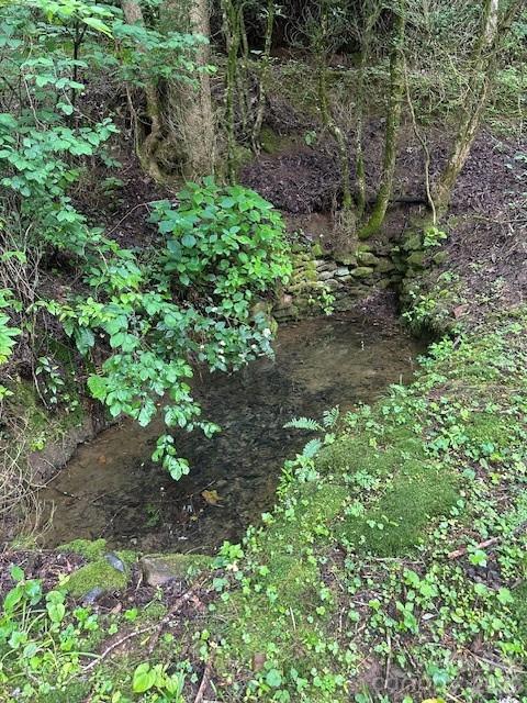0 Mountain Forest Estates Road Sylva NC 28779