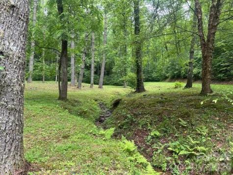 0 Mountain Forest Estates Road Sylva NC 28779