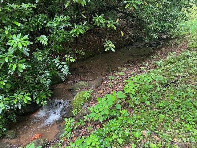 0 Mountain Forest Estates Road Sylva NC 28779