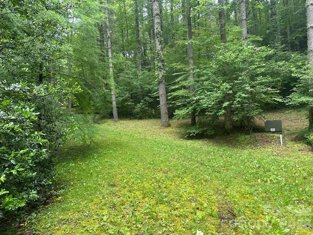 0 Mountain Forest Estates Road Sylva NC 28779