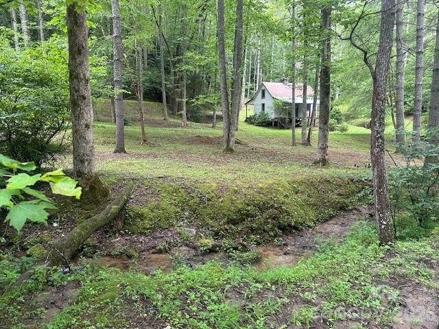 0 Mountain Forest Estates Road Sylva NC 28779