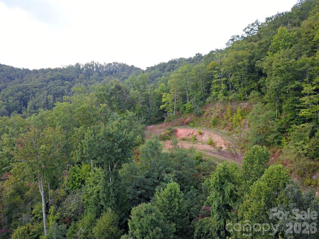 0 Mountain Forest Estates Road Sylva NC 28779