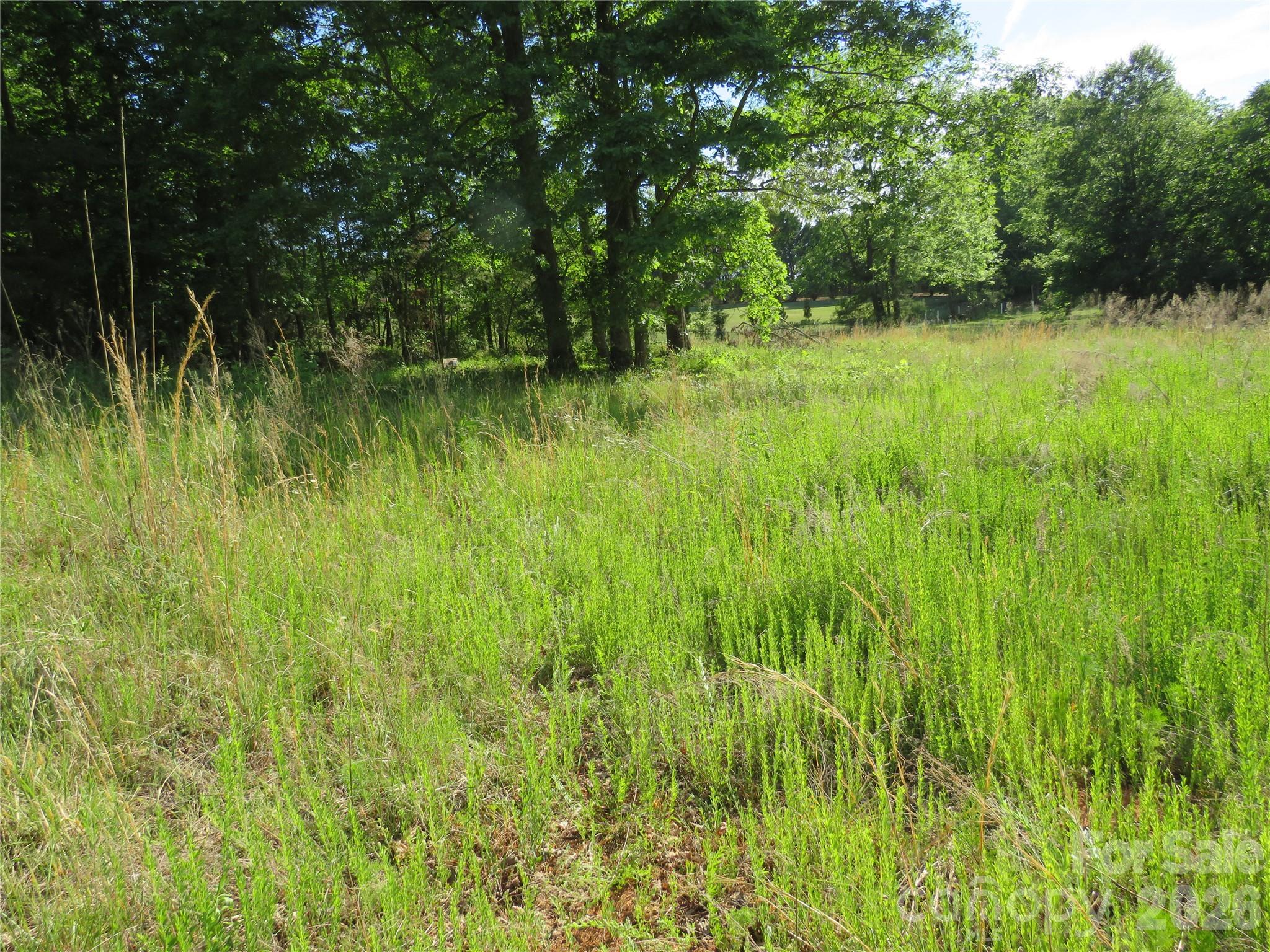 0 Blue Sapphire Lane Rutherfordton NC 28139
