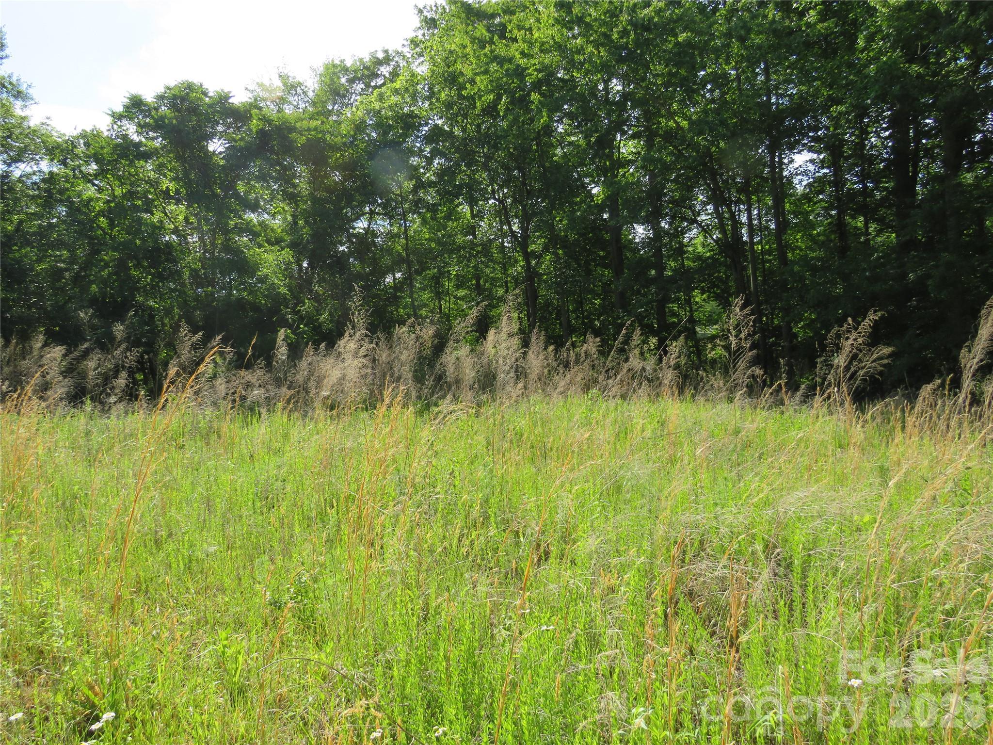 0 Blue Sapphire Lane Rutherfordton NC 28139
