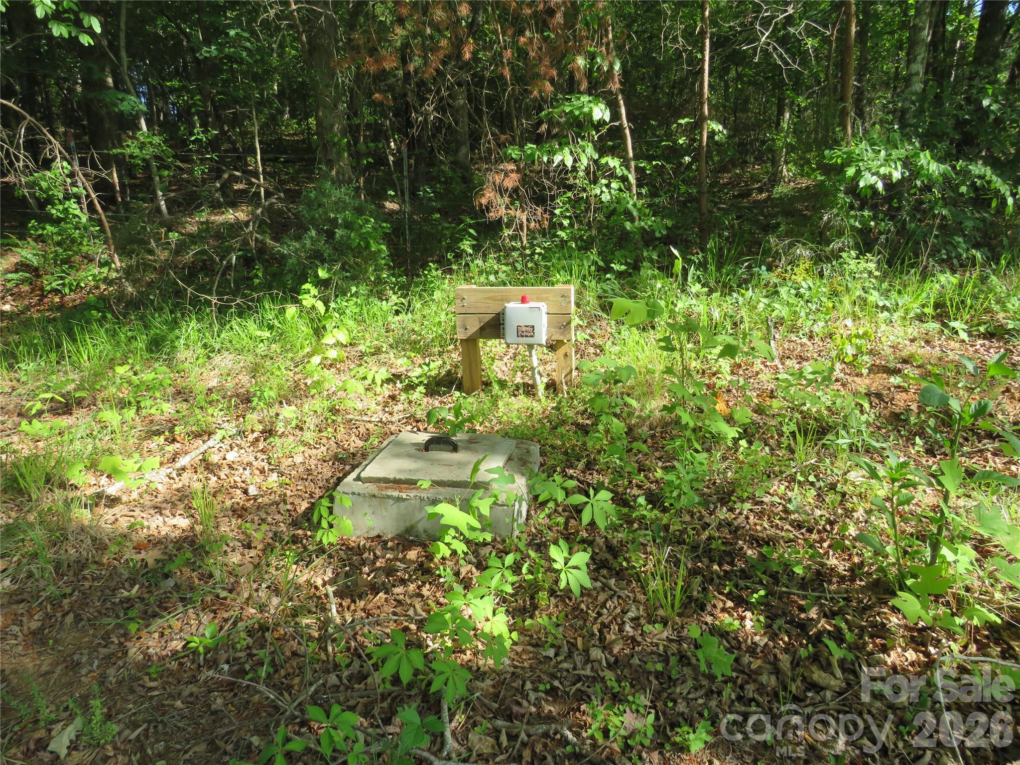 0 Blue Sapphire Lane Rutherfordton NC 28139