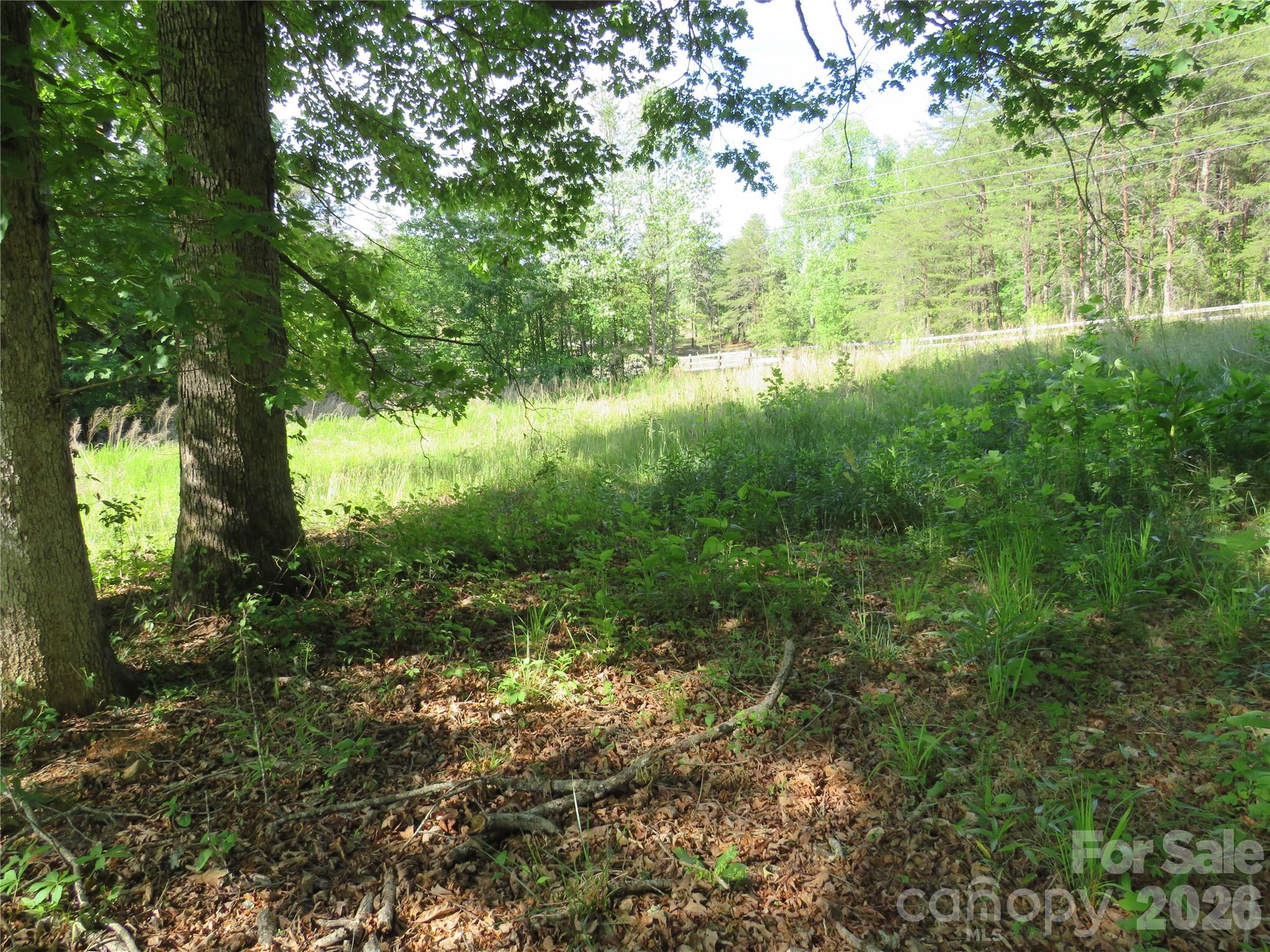 0 Blue Sapphire Lane Rutherfordton NC 28139