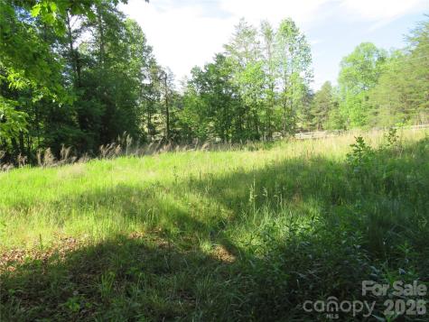 0 Blue Sapphire Lane Rutherfordton NC 28139