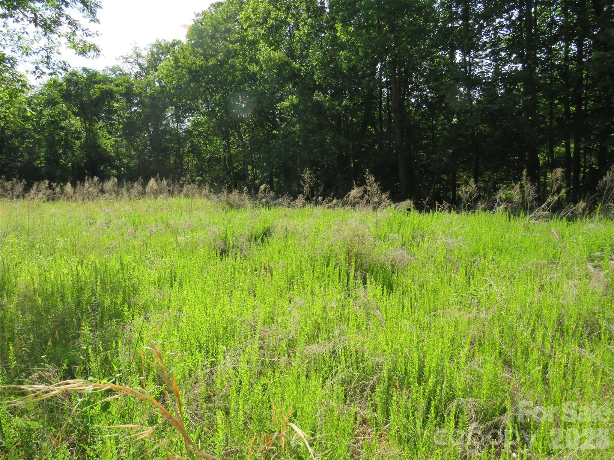 0 Blue Sapphire Lane Rutherfordton NC 28139
