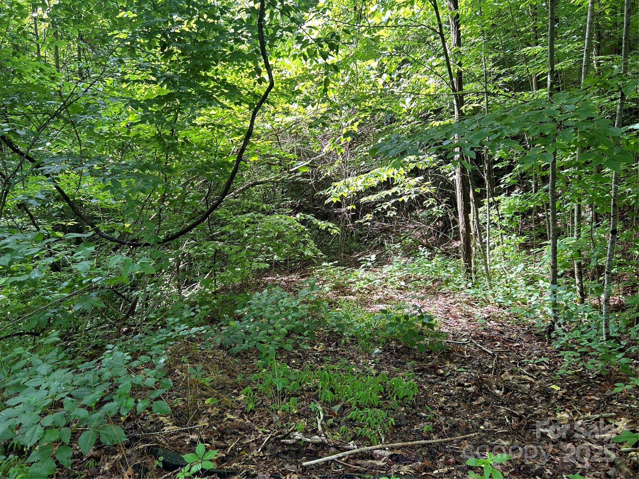0 Loon Lane Whittier NC 28789