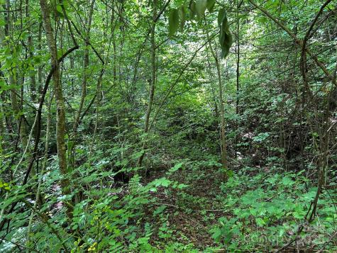 0 Loon Lane Whittier NC 28789