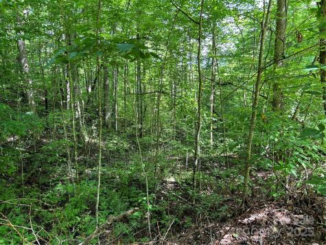 0 Loon Lane Whittier NC 28789