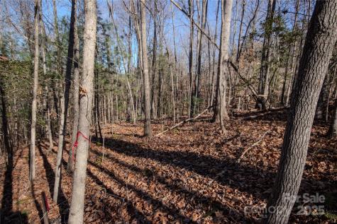 Lot# 80 Huntington Woods Street SE Lenoir NC 28645