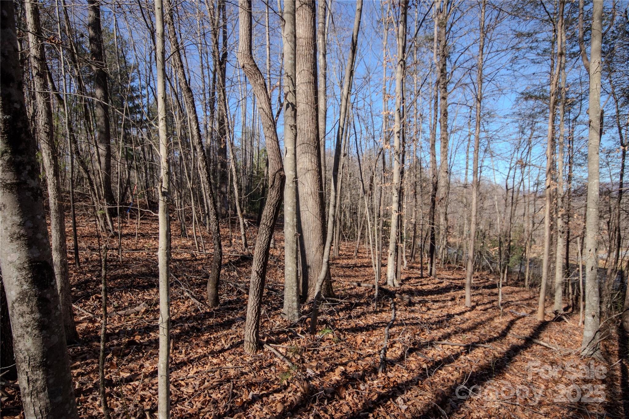 Lot# 80 Huntington Woods Street SE Lenoir NC 28645