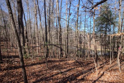 Lot# 80 Huntington Woods Street SE Lenoir NC 28645