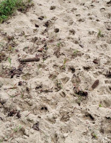 434 Macedonia Angelus Road Jefferson SC 29718