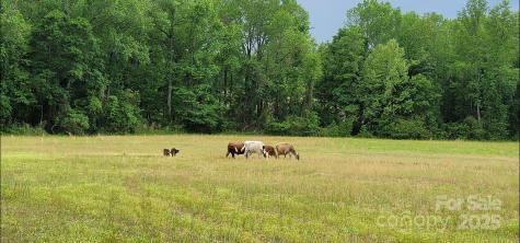 434 Macedonia Angelus Road Jefferson SC 29718