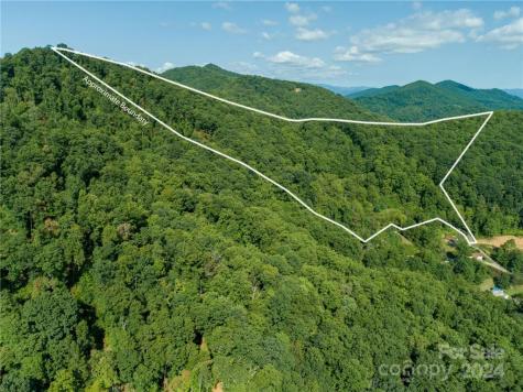 58 Grooms Road Candler NC 28715