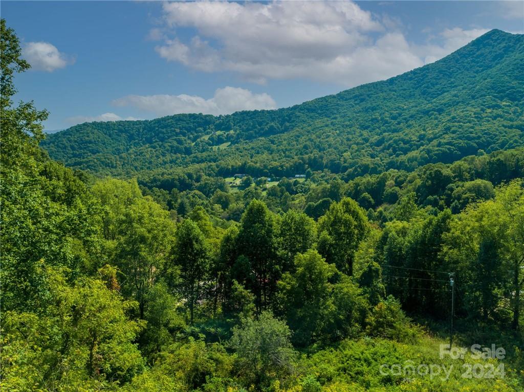 58 Grooms Road Candler NC 28715