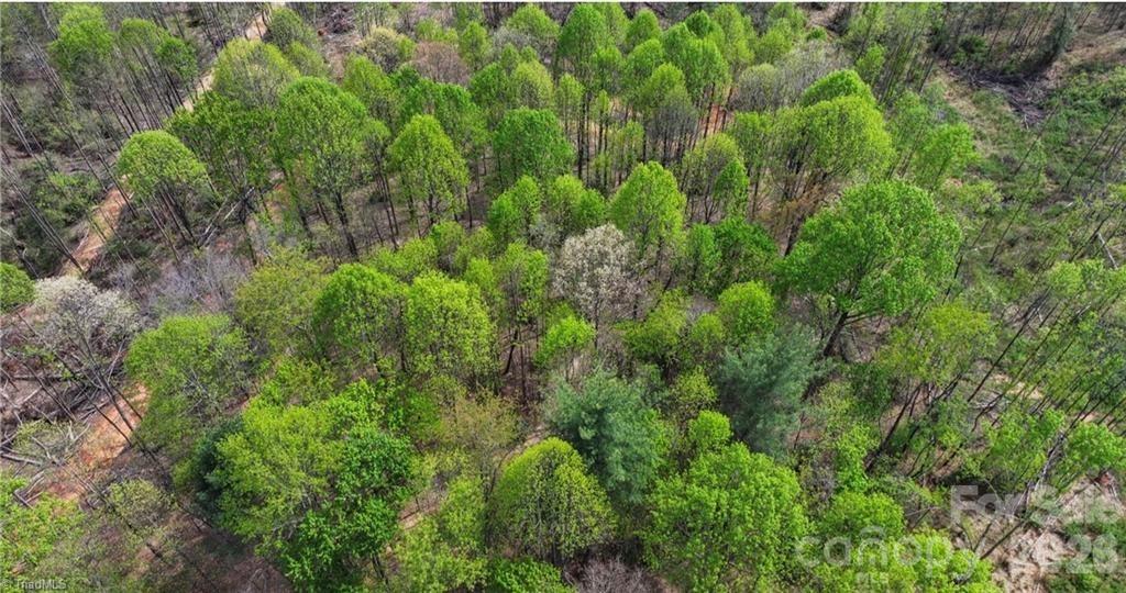 161 Queen Drive North Wilkesboro NC 28659