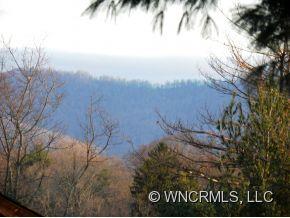 20 Thurland Avenue Asheville NC 28803