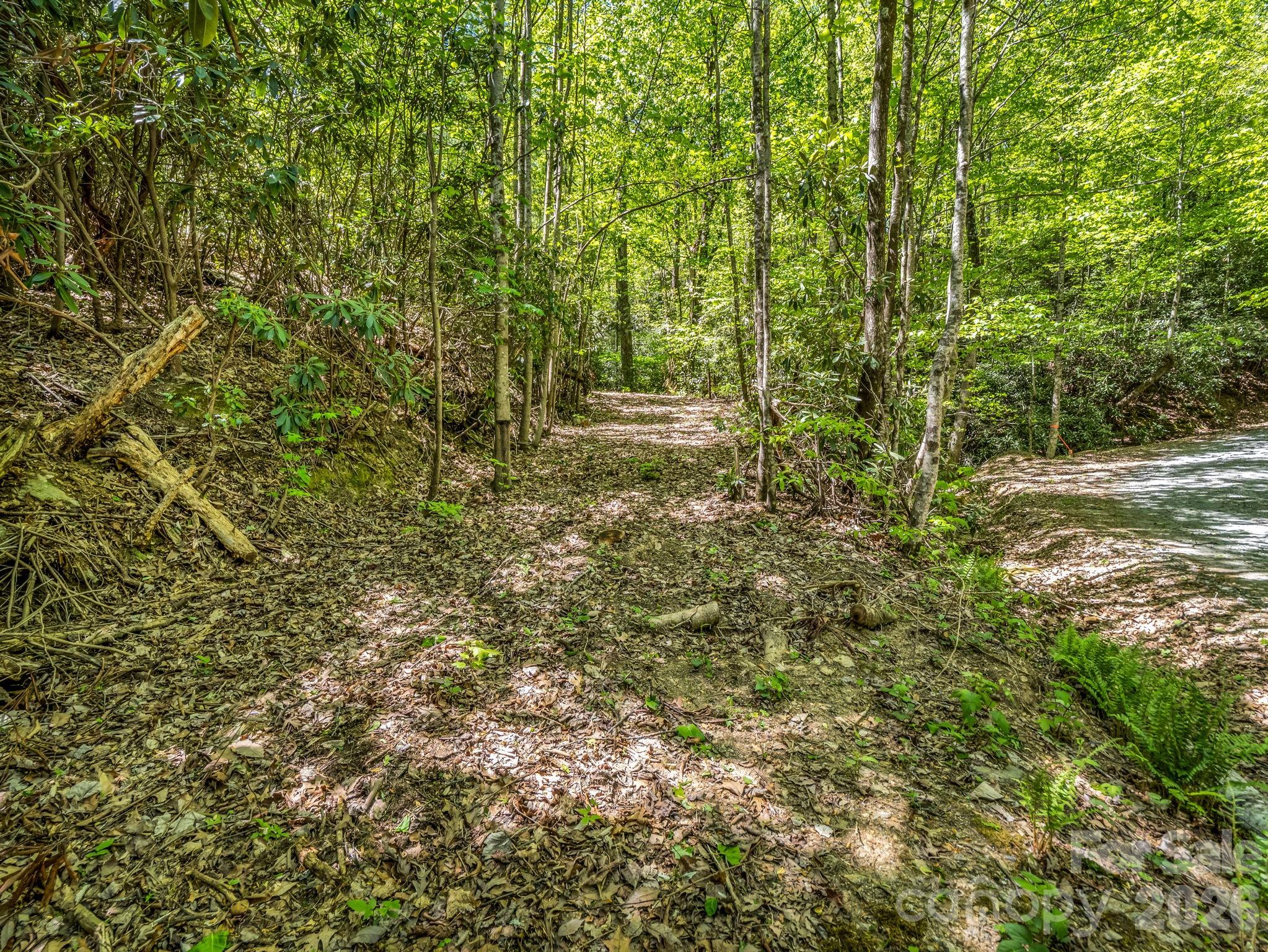 00 Lakeview Drive Tryon NC 28782