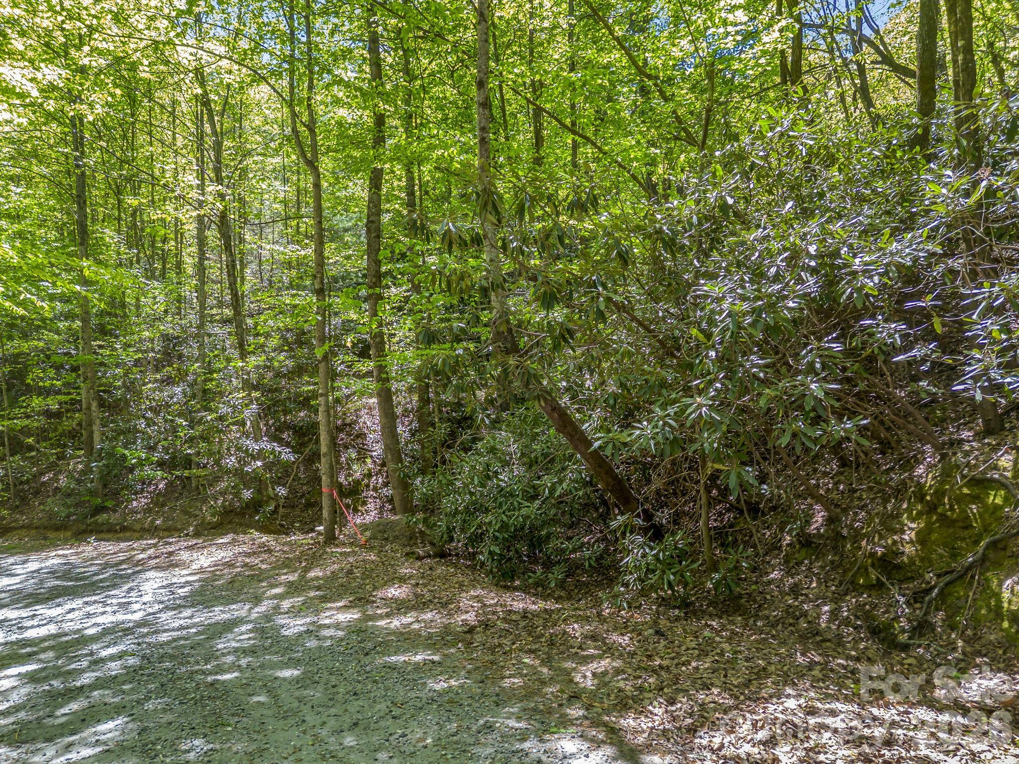 00 Lakeview Drive Tryon NC 28782