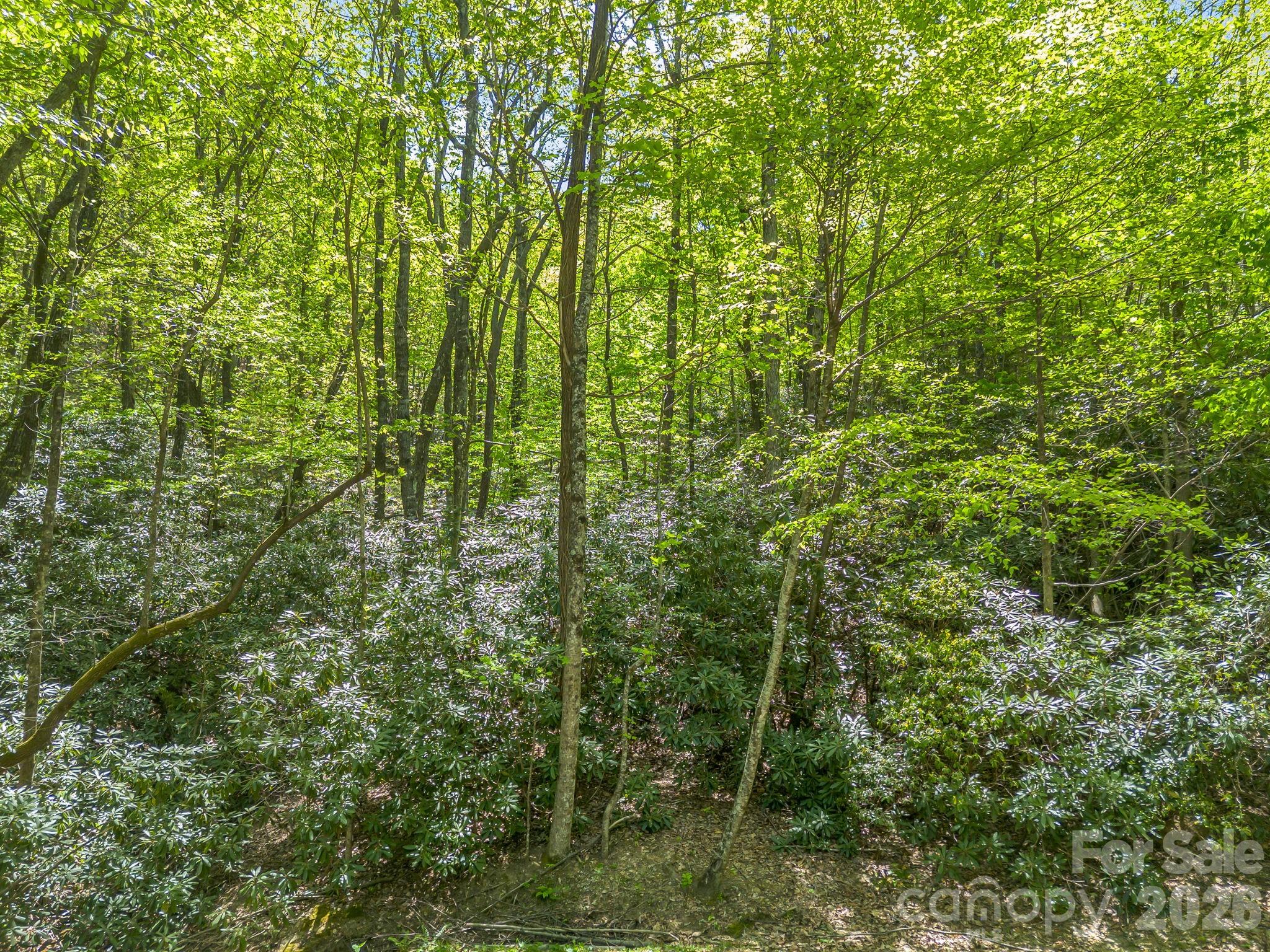 00 Lakeview Drive Tryon NC 28782