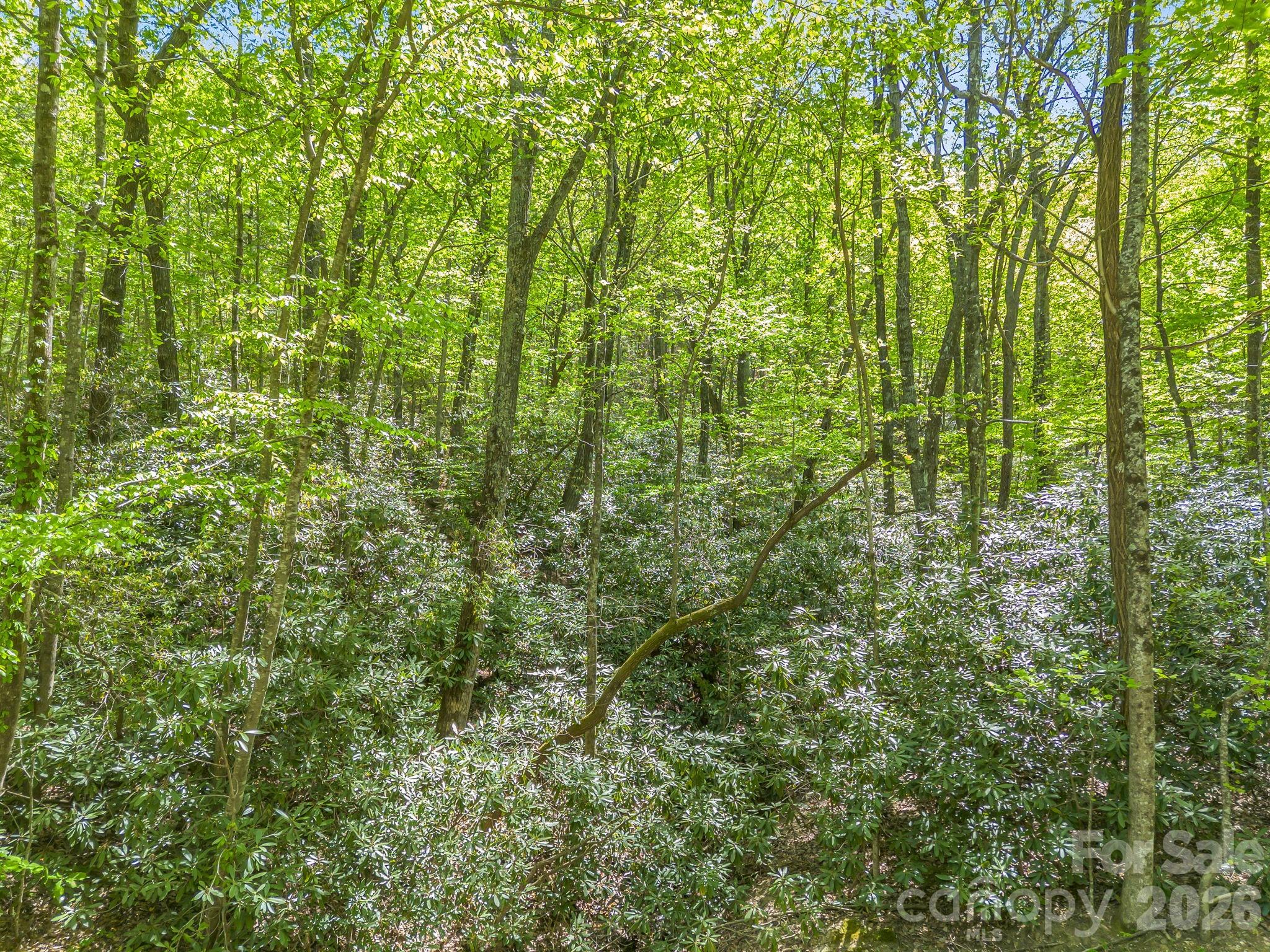 00 Lakeview Drive Tryon NC 28782