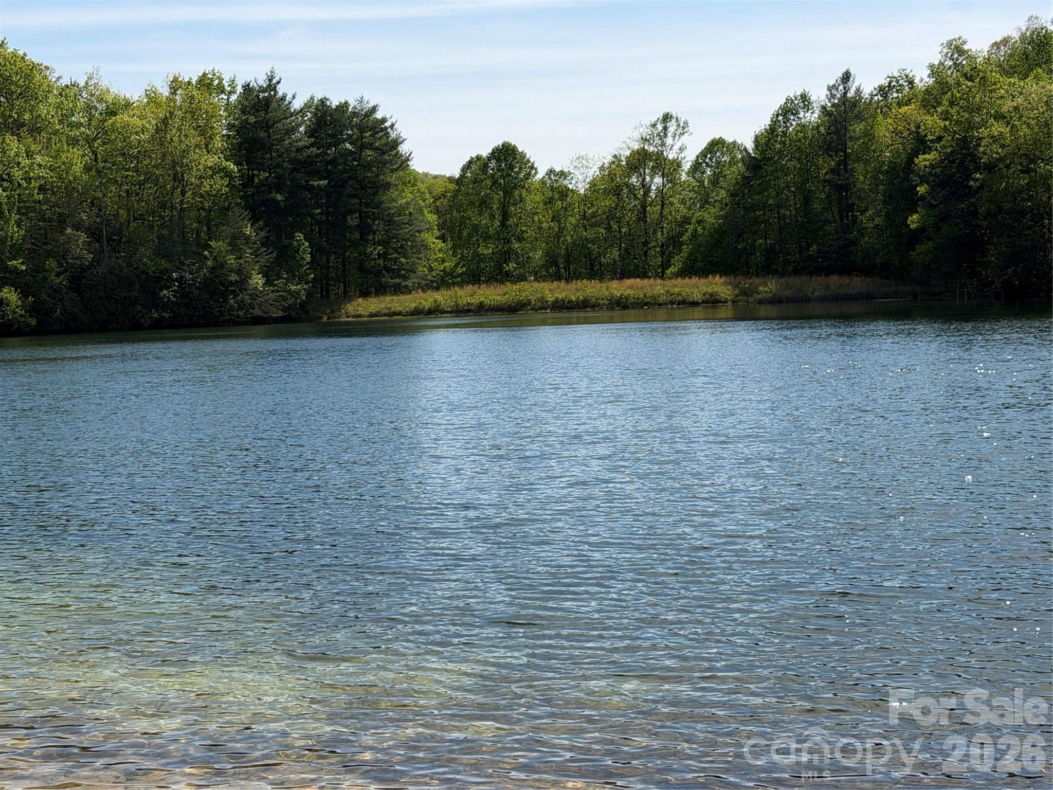 00 Lakeview Drive Tryon NC 28782