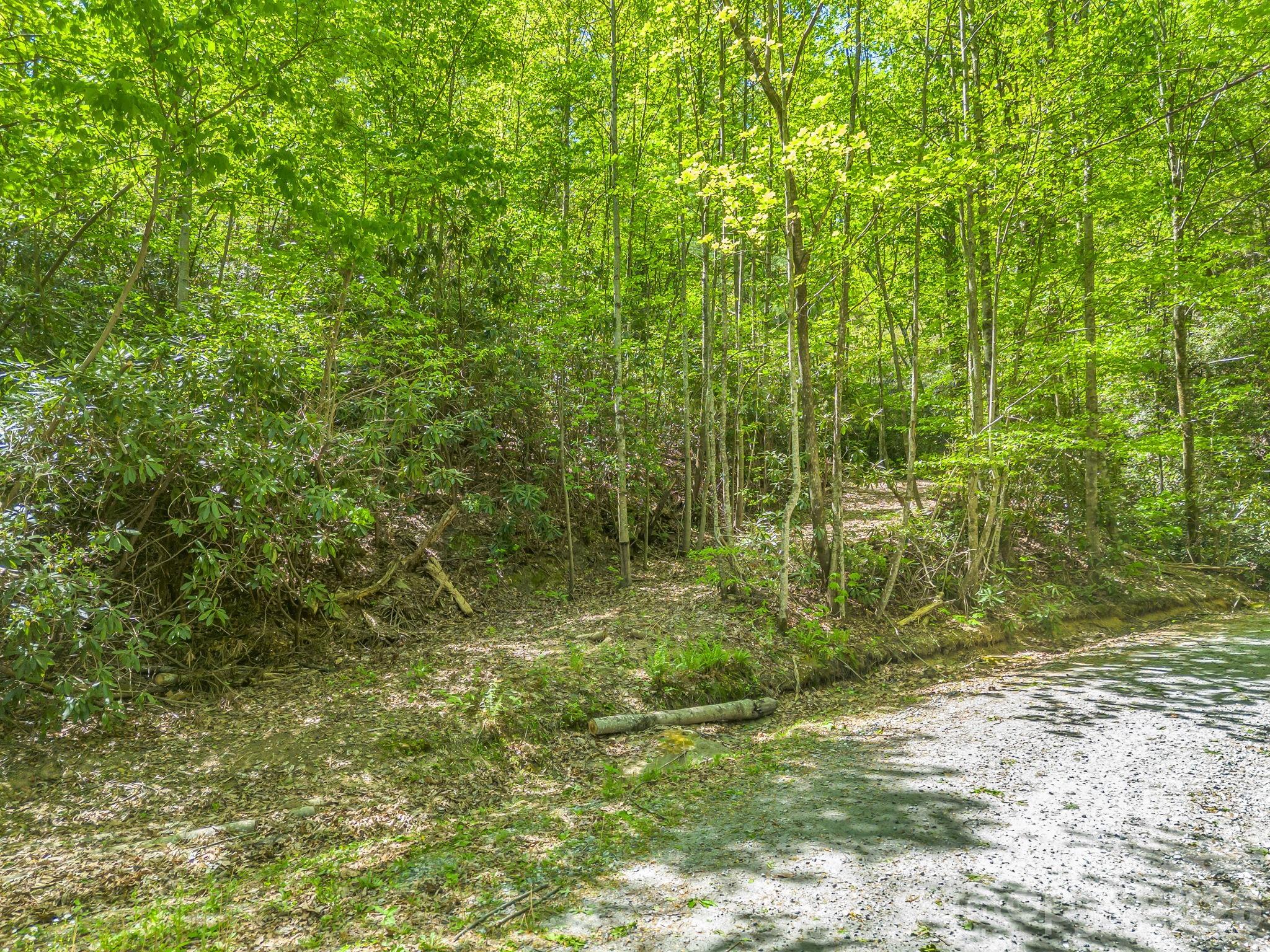 00 Lakeview Drive Tryon NC 28782