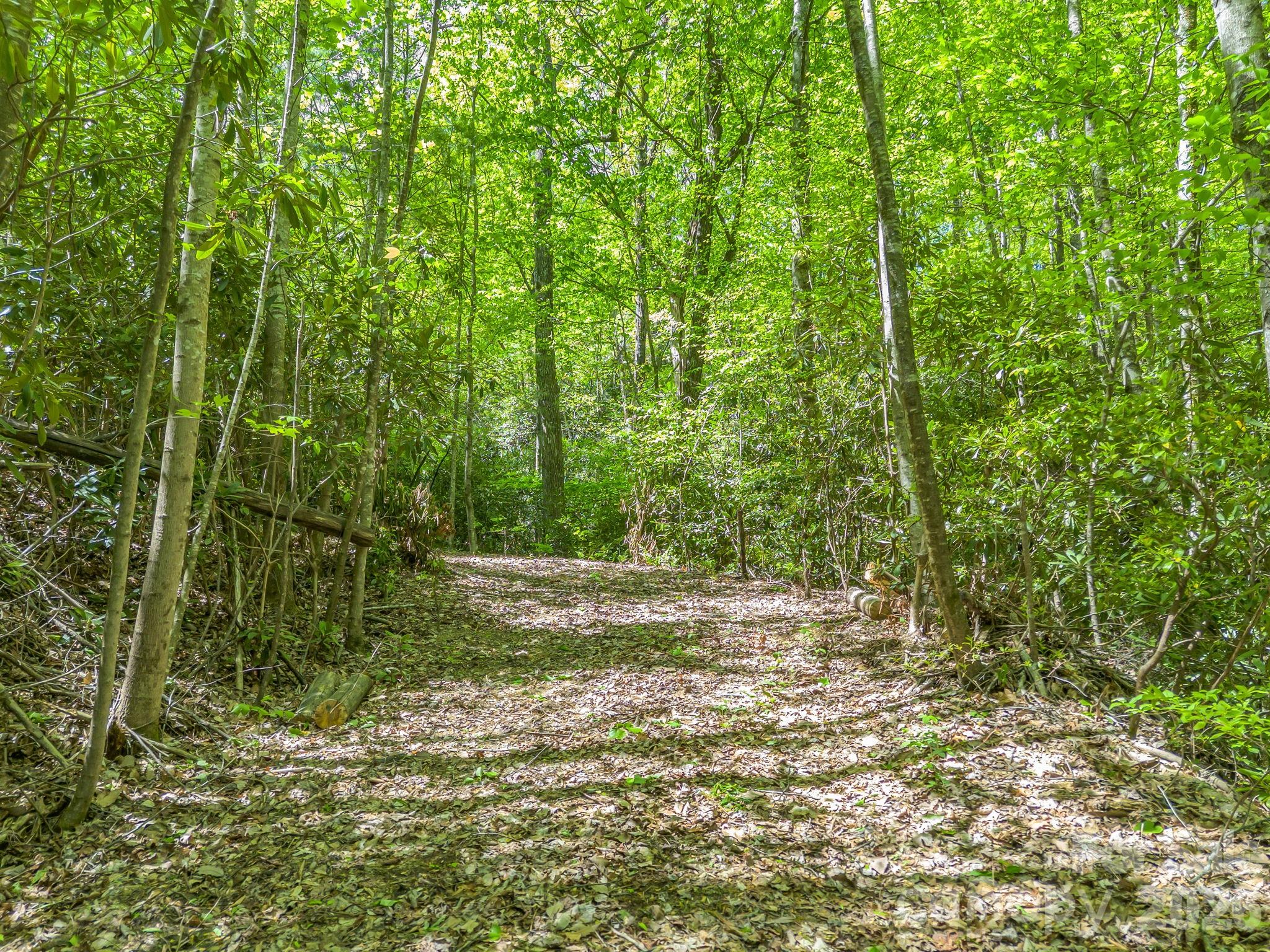 00 Lakeview Drive Tryon NC 28782