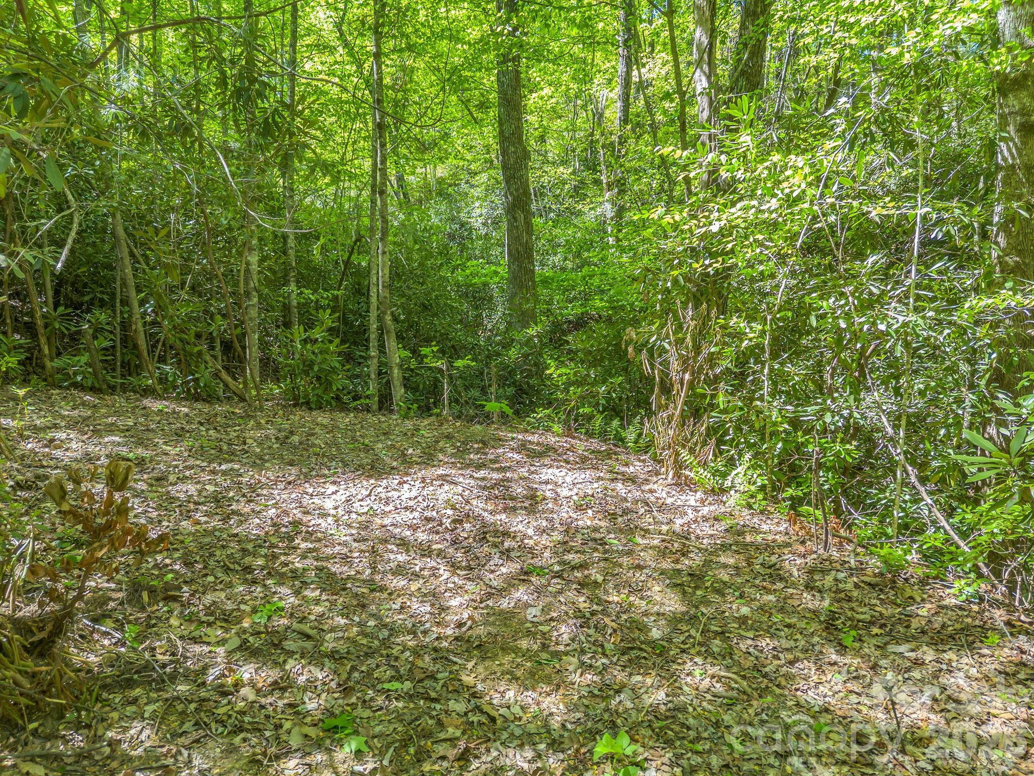 00 Lakeview Drive Tryon NC 28782