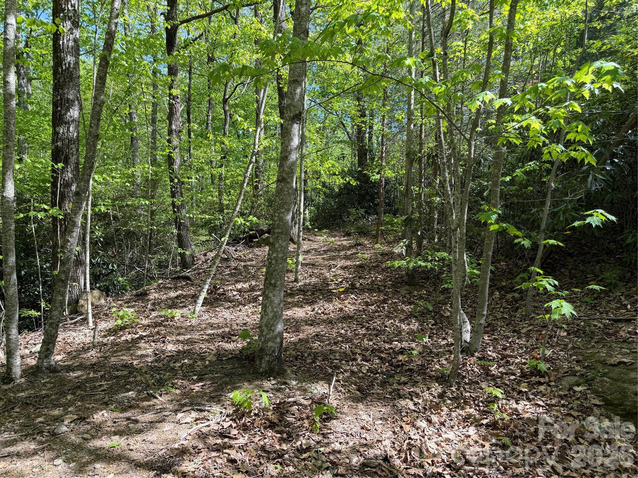 00 Lakeview Drive Tryon NC 28782