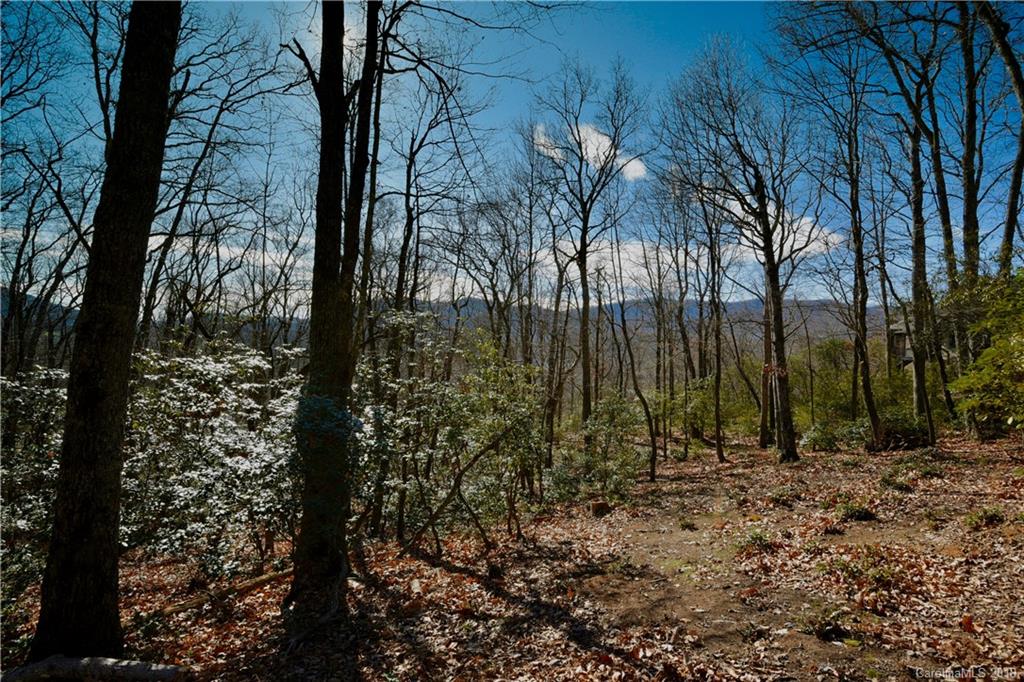 1111 Timberbluff Way Arden NC 28704