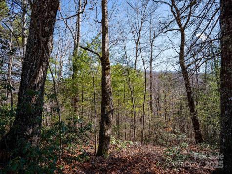 794 Silverstone Drive Hendersonville NC 28792