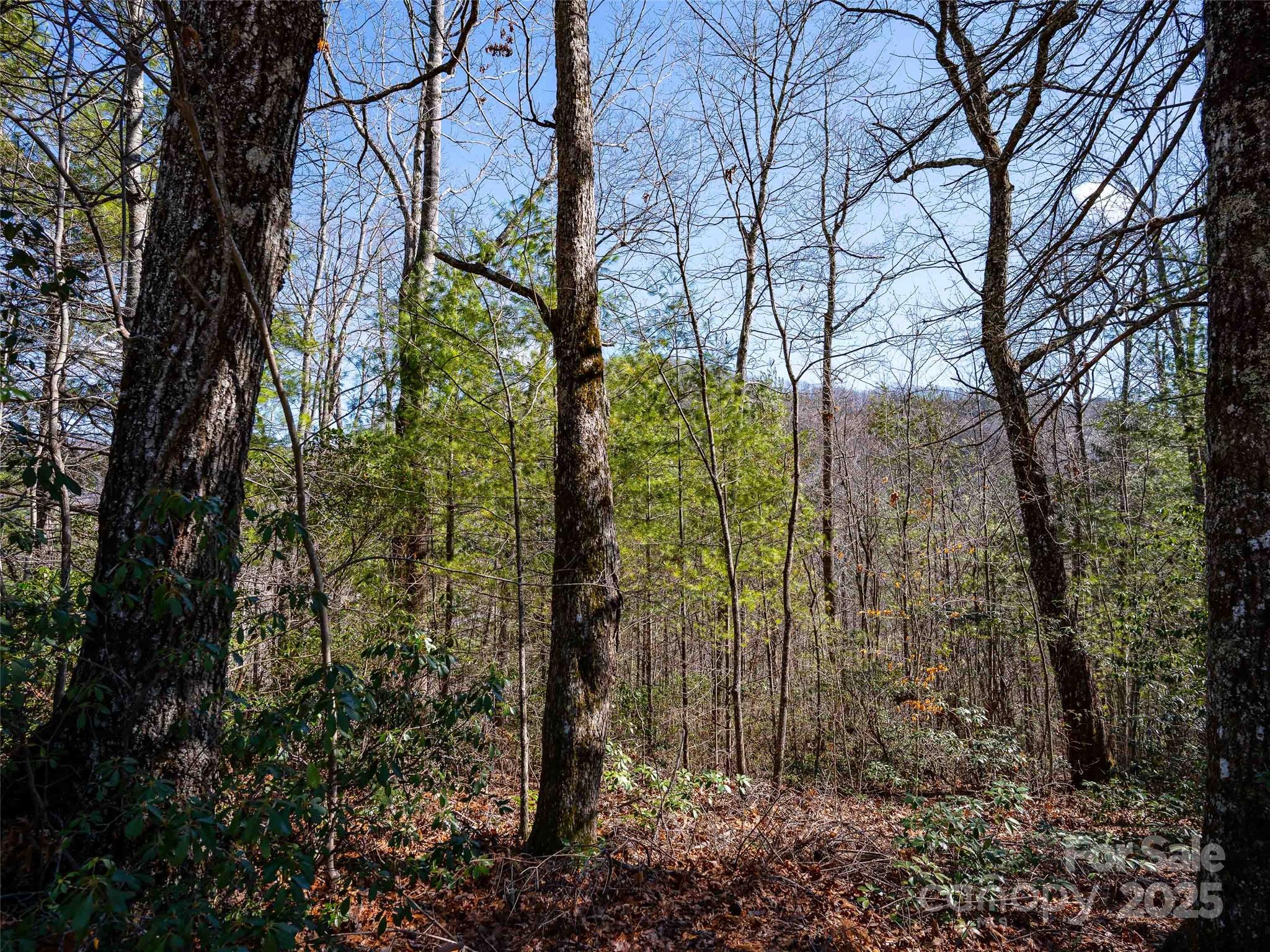 794 Silverstone Drive Hendersonville NC 28792