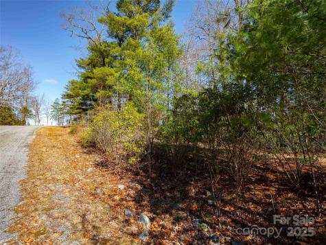 794 Silverstone Drive Hendersonville NC 28792