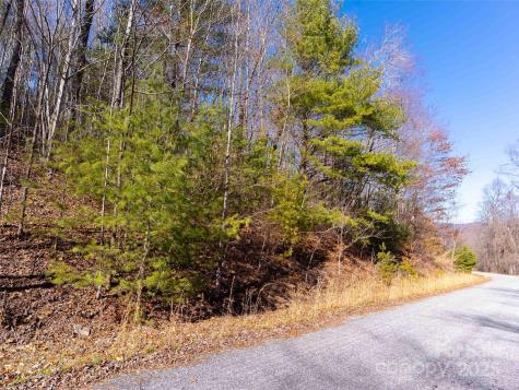 794 Silverstone Drive Hendersonville NC 28792