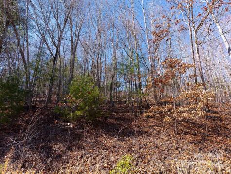 794 Silverstone Drive Hendersonville NC 28792