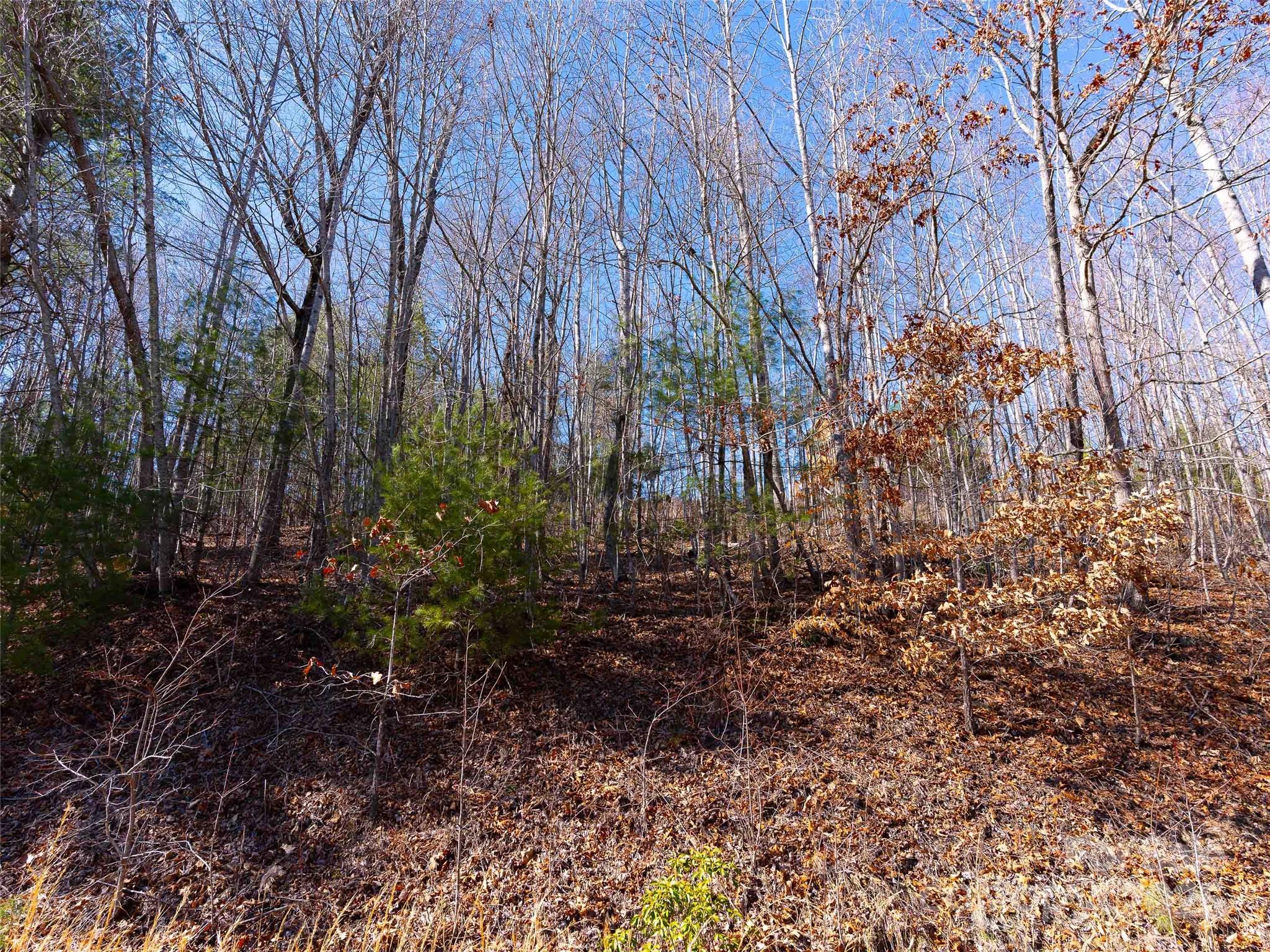 794 Silverstone Drive Hendersonville NC 28792