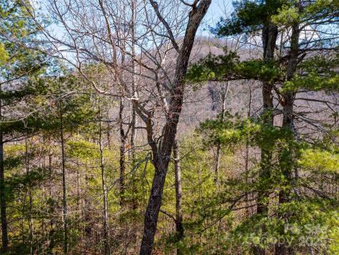 794 Silverstone Drive Hendersonville NC 28792