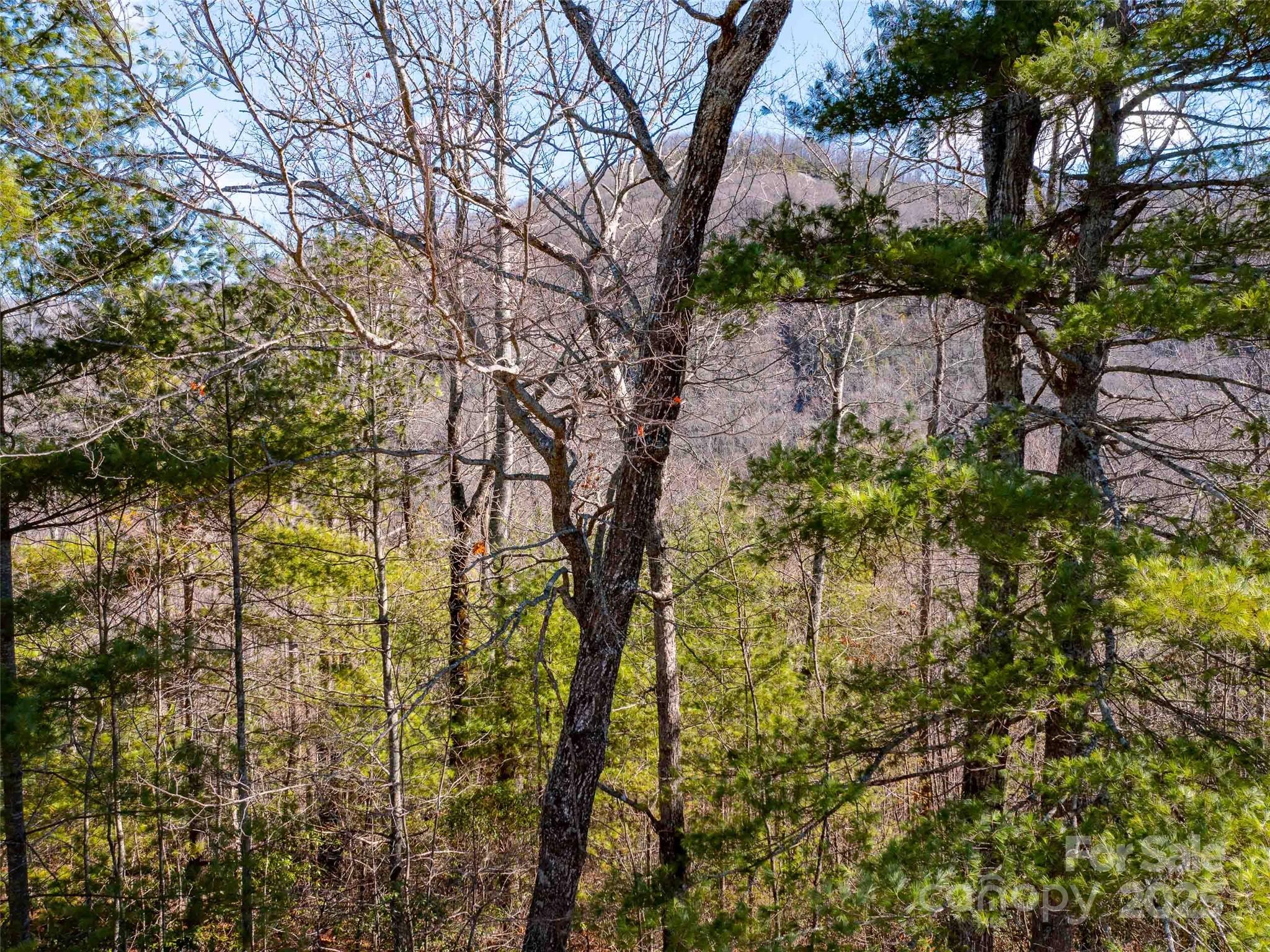 794 Silverstone Drive Hendersonville NC 28792