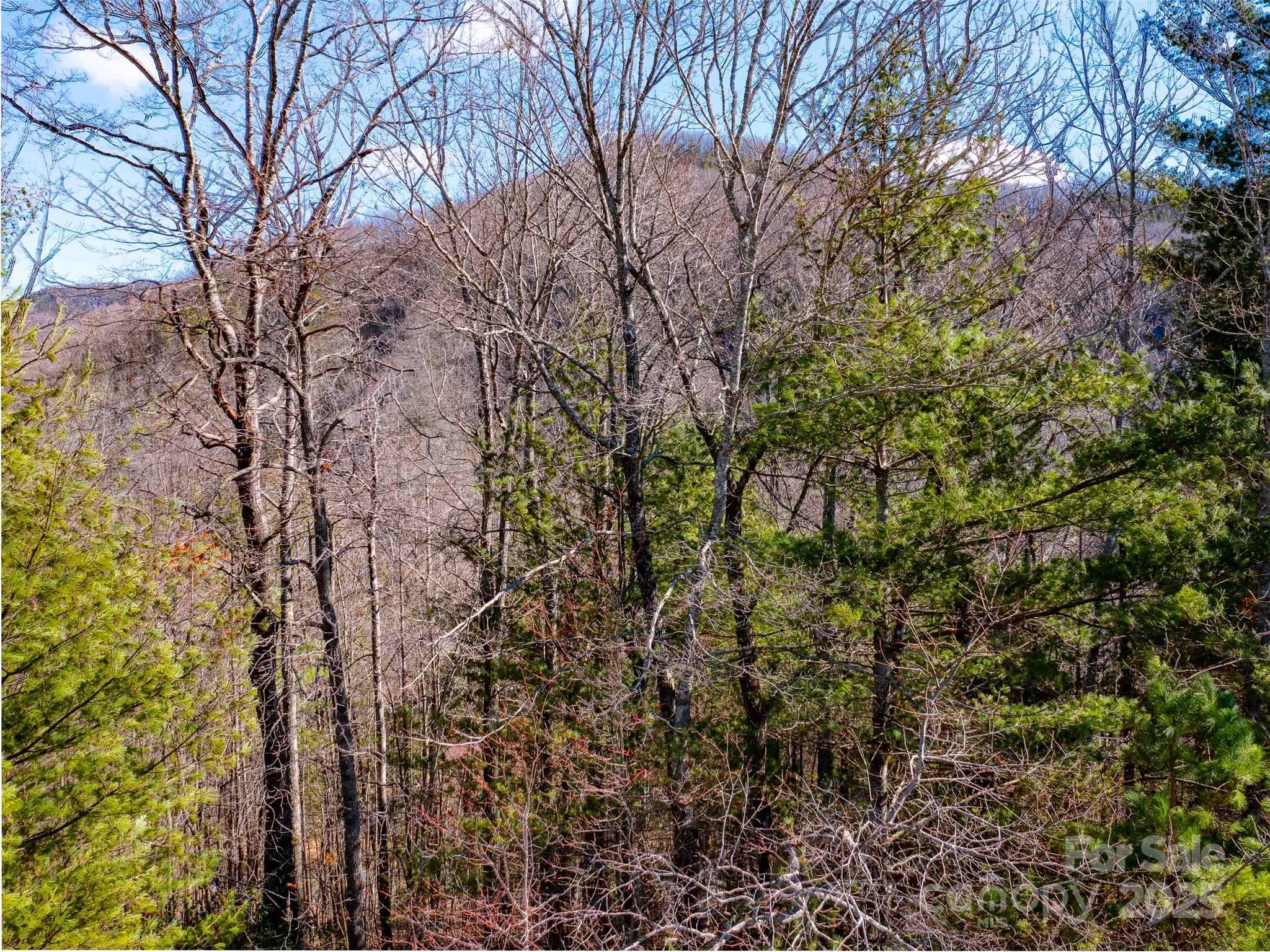 794 Silverstone Drive Hendersonville NC 28792