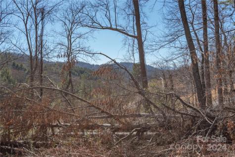 9999 Lynn Cove Road Asheville NC 28804