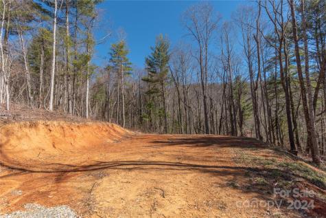 9999 Lynn Cove Road Asheville NC 28804