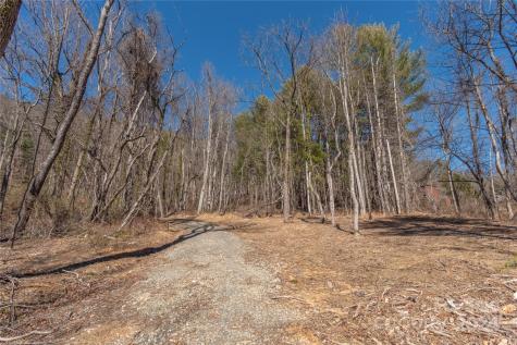 9999 Lynn Cove Road Asheville NC 28804
