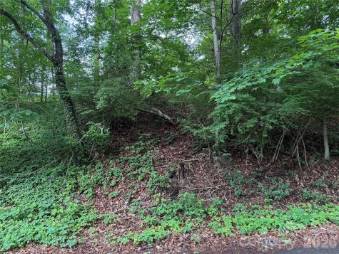 89 Iris Street Asheville NC 28803