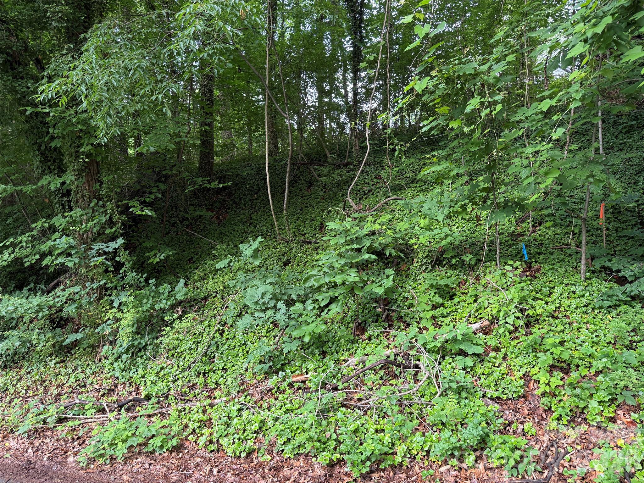 89 Iris Street Asheville NC 28803
