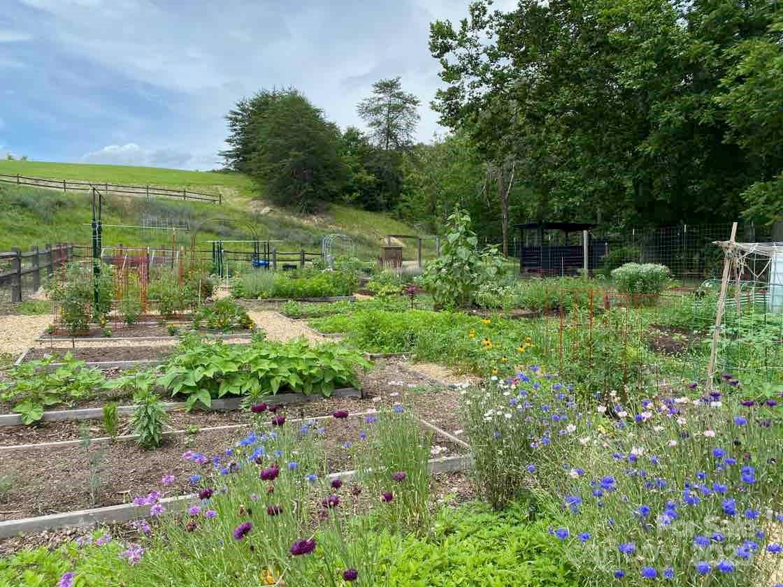 48 Sweet Fern Parkway Asheville NC 28804