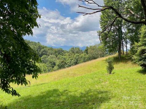 48 Sweet Fern Parkway Asheville NC 28804
